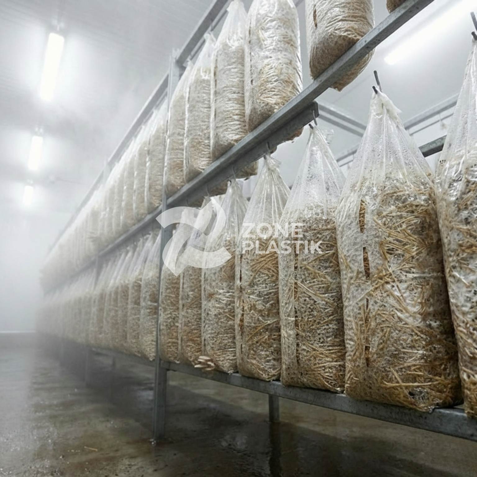 İstiridye Mantarı Kompost Poşeti